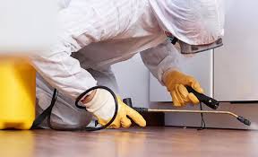 Best Residential Pest Control  in Minorca, LA